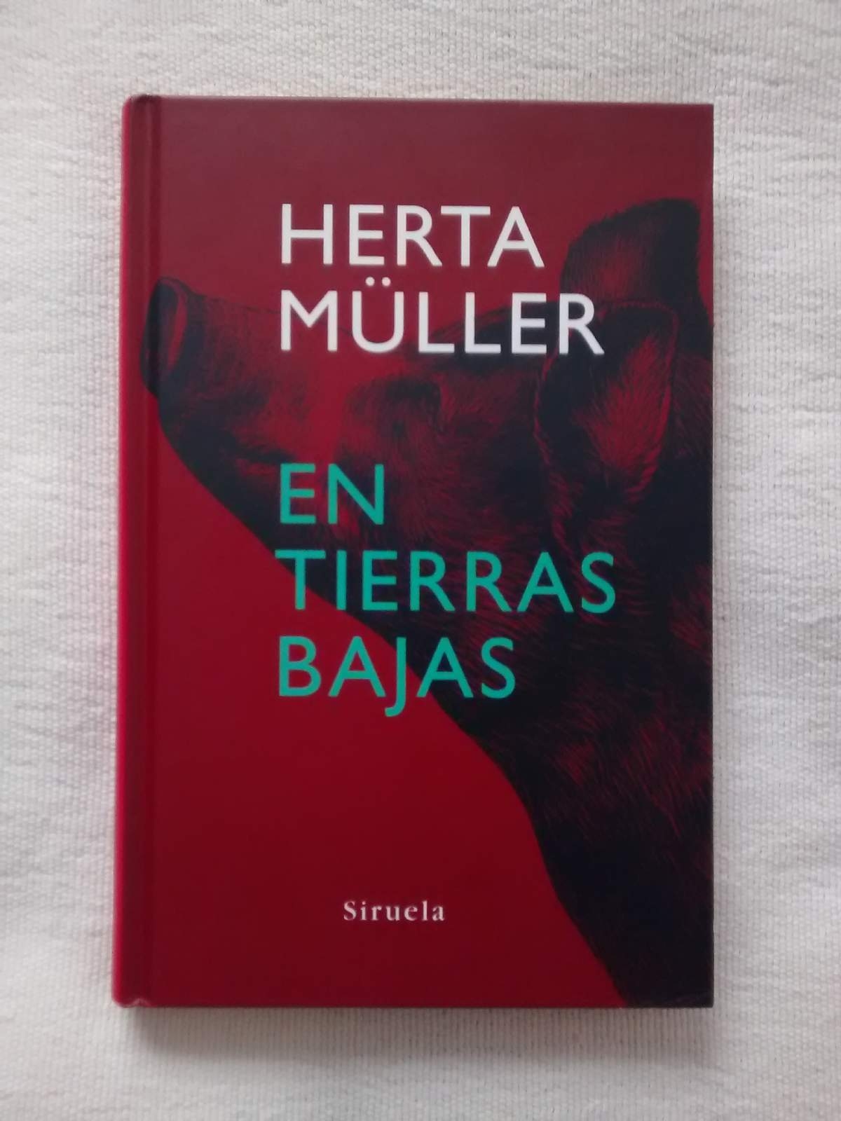En tierras bajas