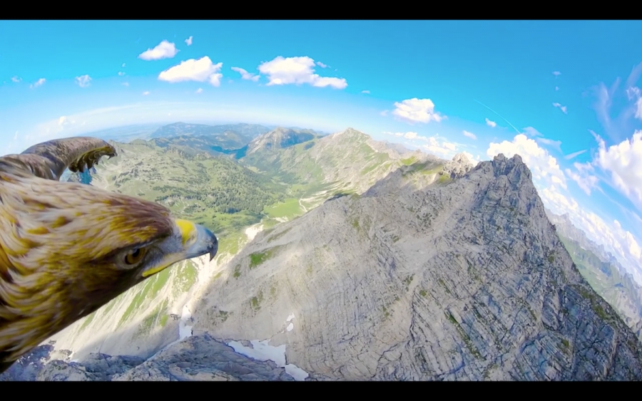 VIDEO: "Vuela" junto a un águila en su grandioso trayecto por los Alpes