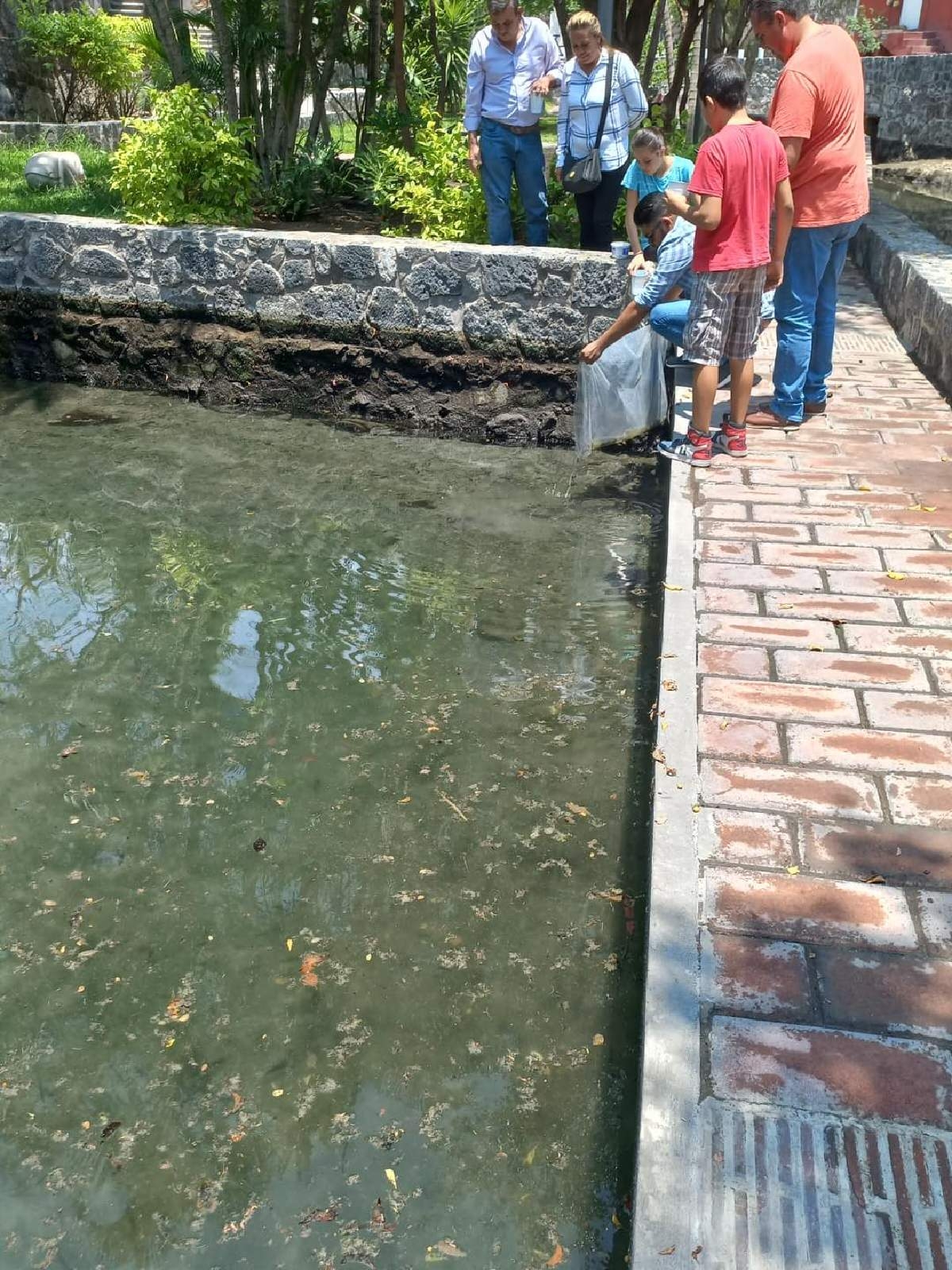 Sembrarán mojarra en los Ajitos de Agua de Panchimalco