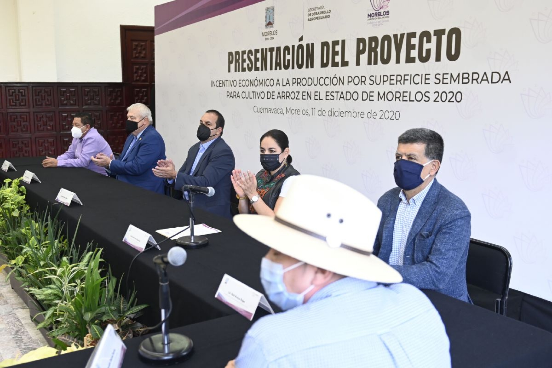 Habrá entrega directa de apoyos a arroceros y maiceros