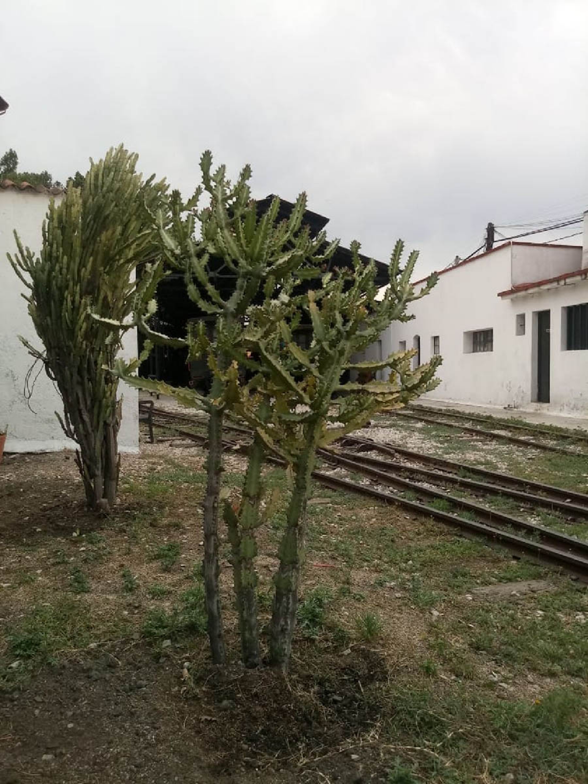 Impulsan atractivos turísticos para cuando termine la emergencia sanitaria