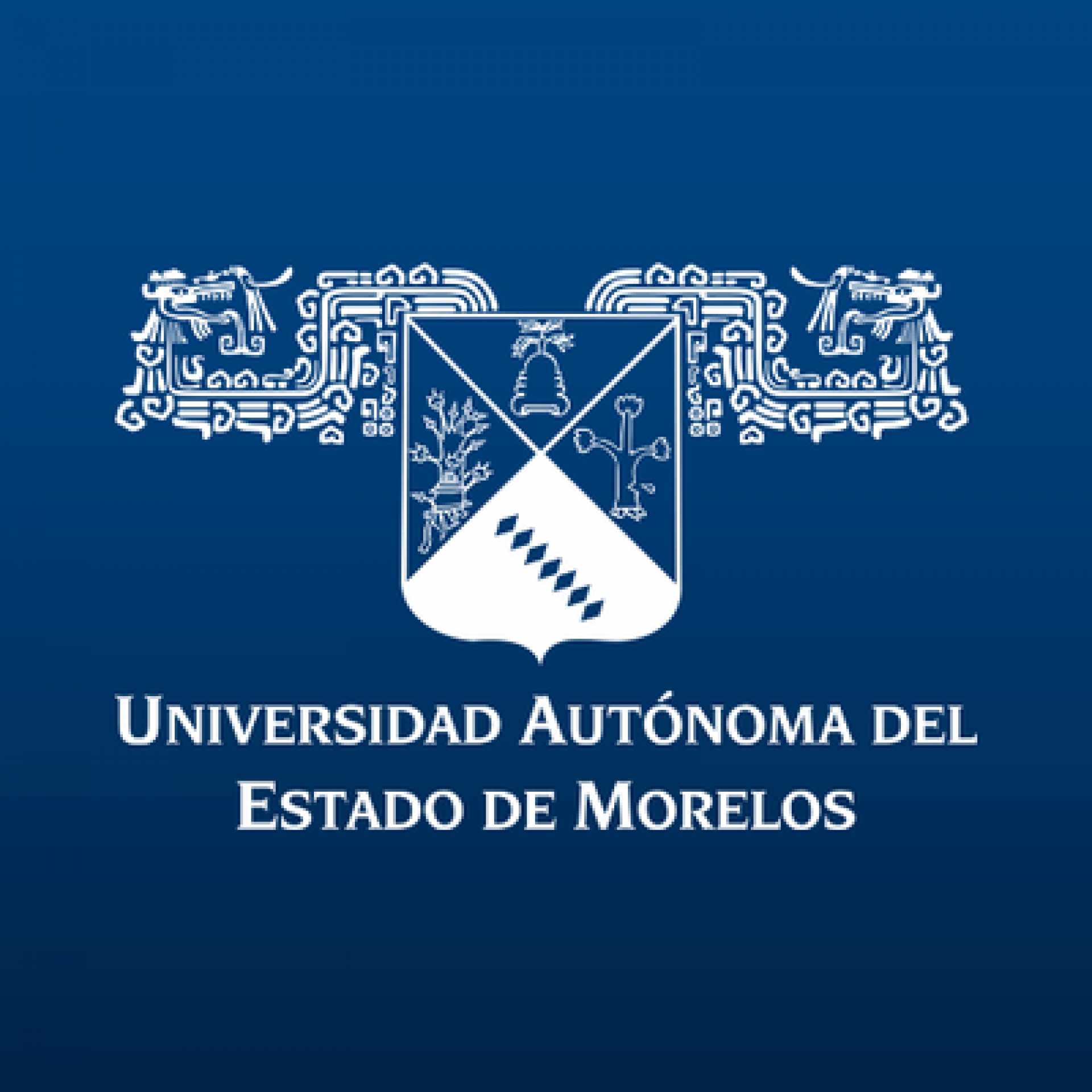 Carrera virtual, nueva realidad