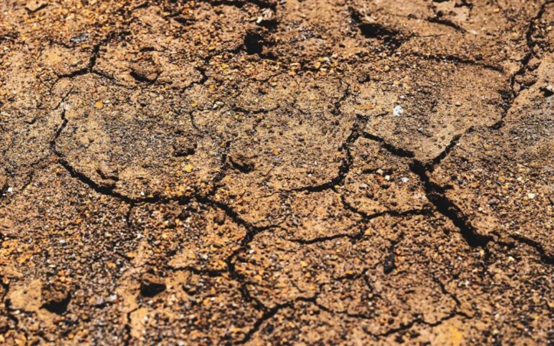 Descubren pruebas de los primeros terremotos en la Tierra