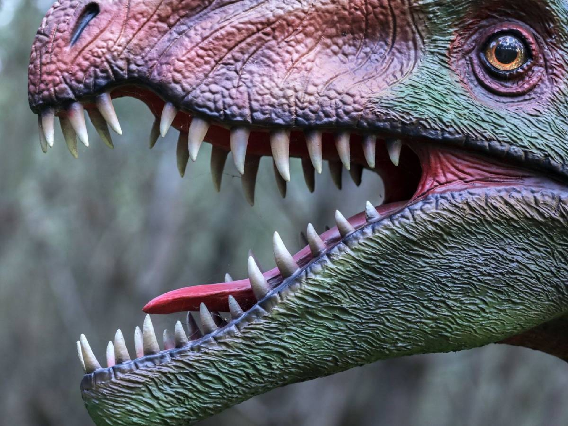 Enormes o pequeños: esta es la razón por la que no hubo dinosaurios 'medianos'