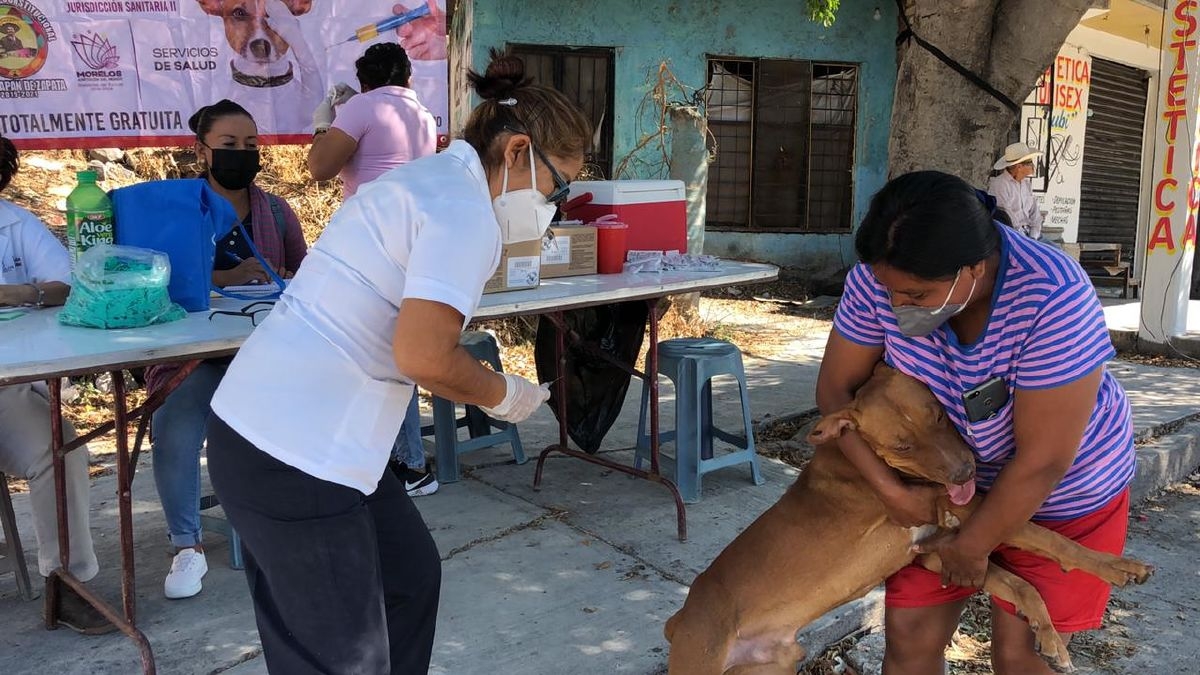 Realizan campaña de vacunación antirrábica en Tlaltizapán