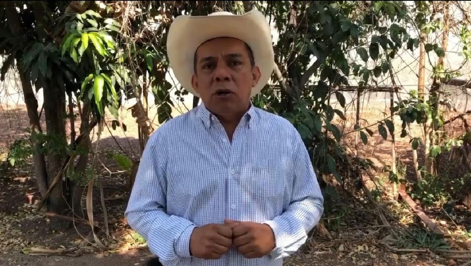 Necesario, reactivar los programas de apoyo al campo: CCC