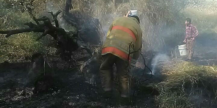 Sofocan bomberos incendio en un lote baldío, en Cuernavaca