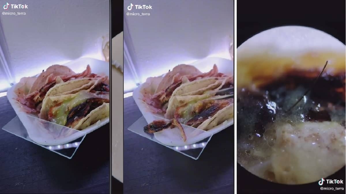 TikToker analiza tacos callejeros bajo el microscopio y se lleva una sorpresa