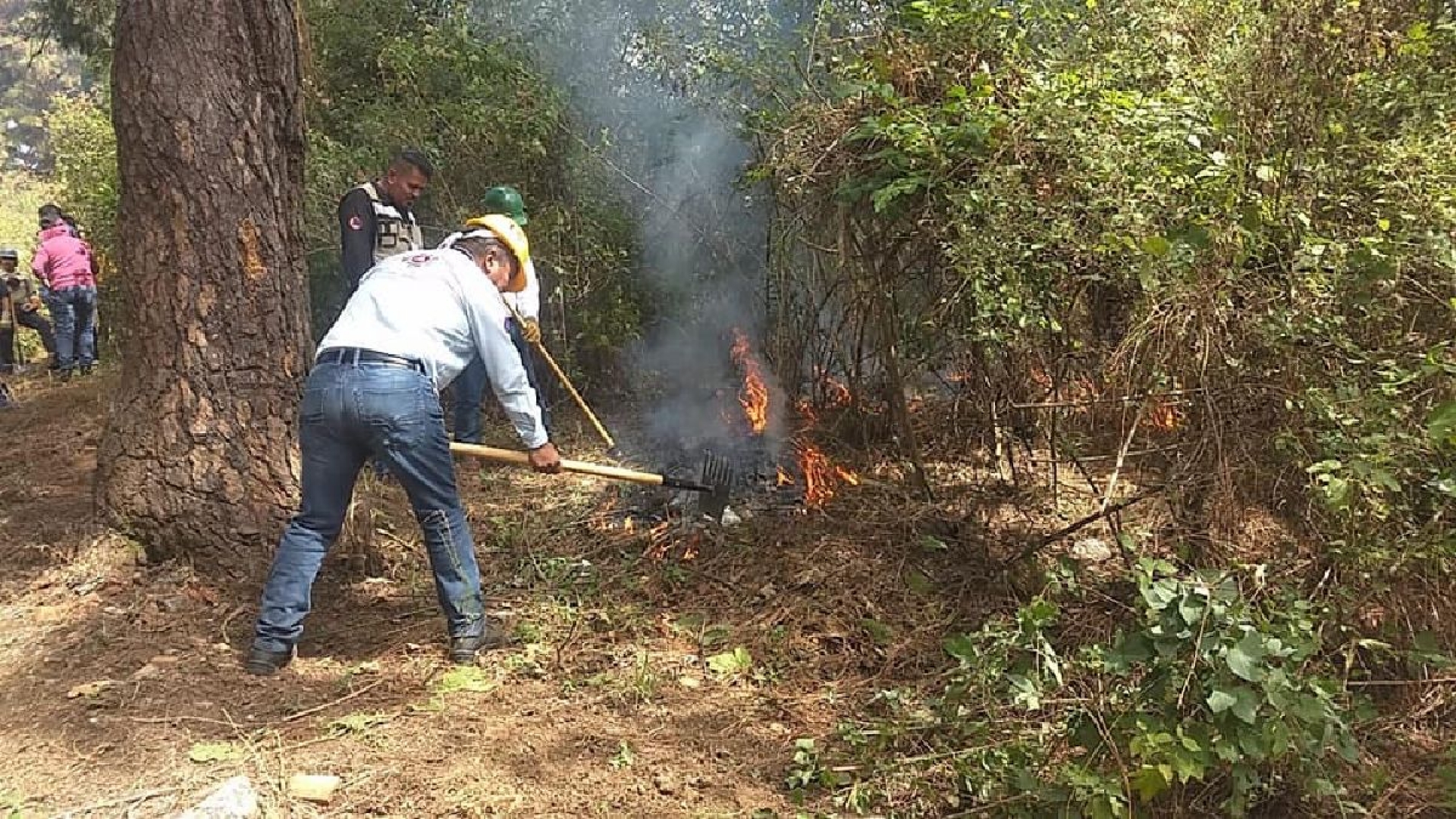 Cuenta Cuernavaca con brigadas de combate de incendios forestales