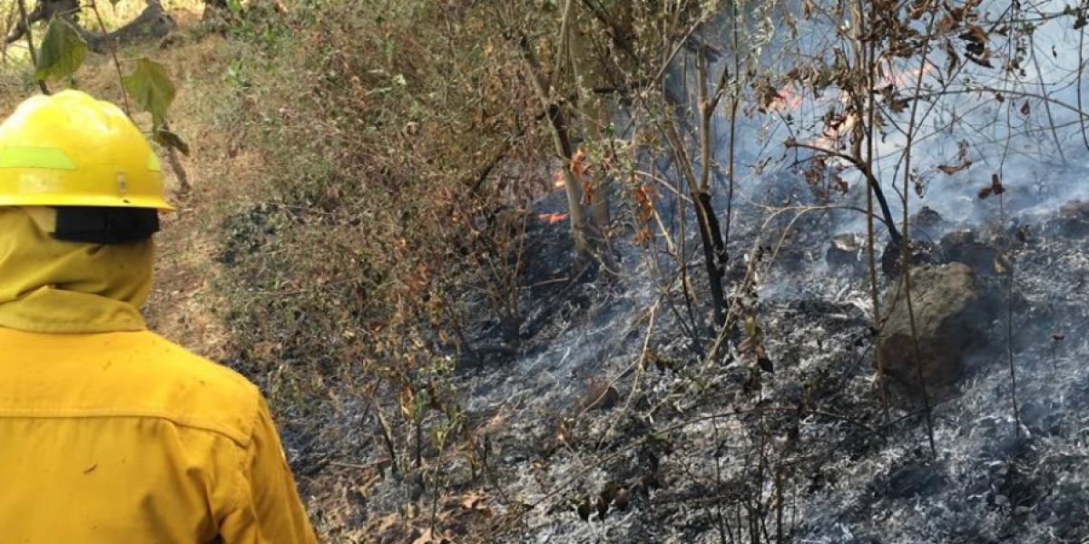 Señala PC que sólo ocho municipios han entregado su plan de prevención por incendios forestales