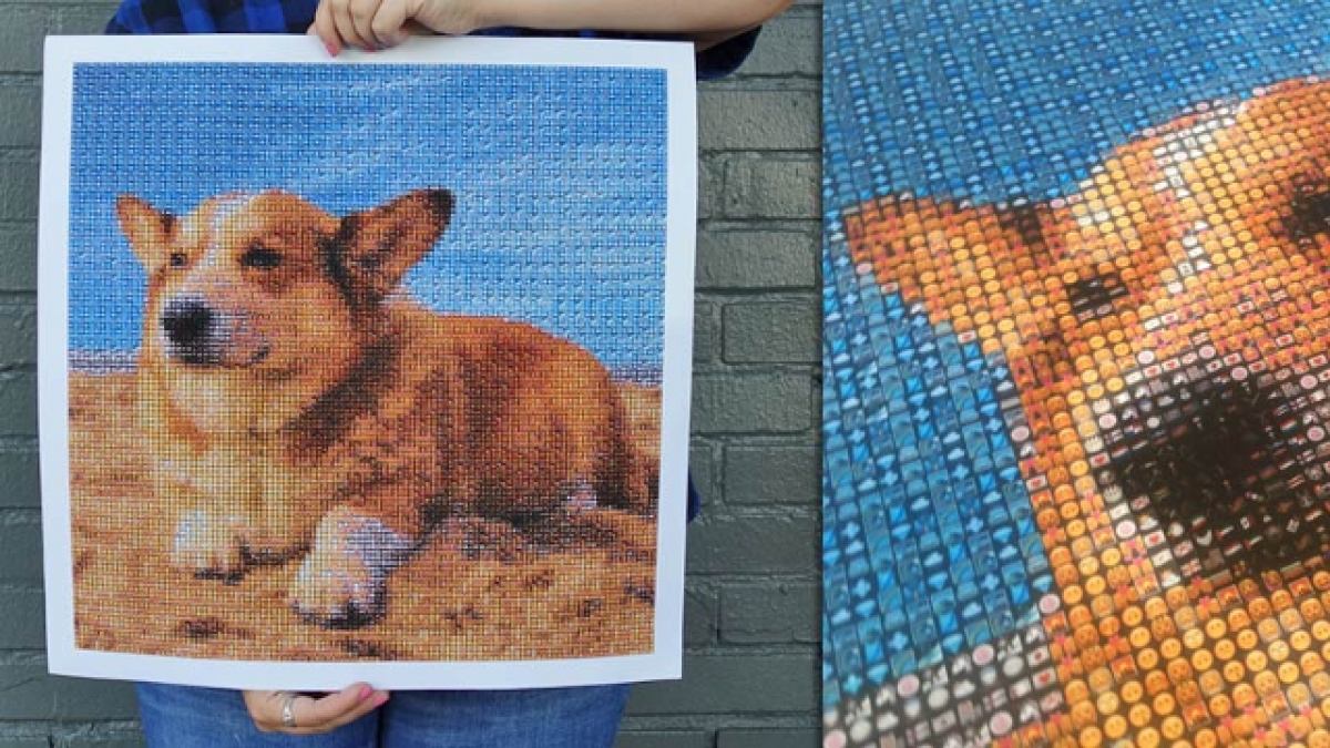 Emoji Lisa: Convierte tus fotos en emojis