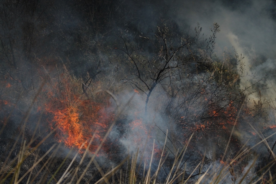 Crece el número de incendios en Cuernavaca