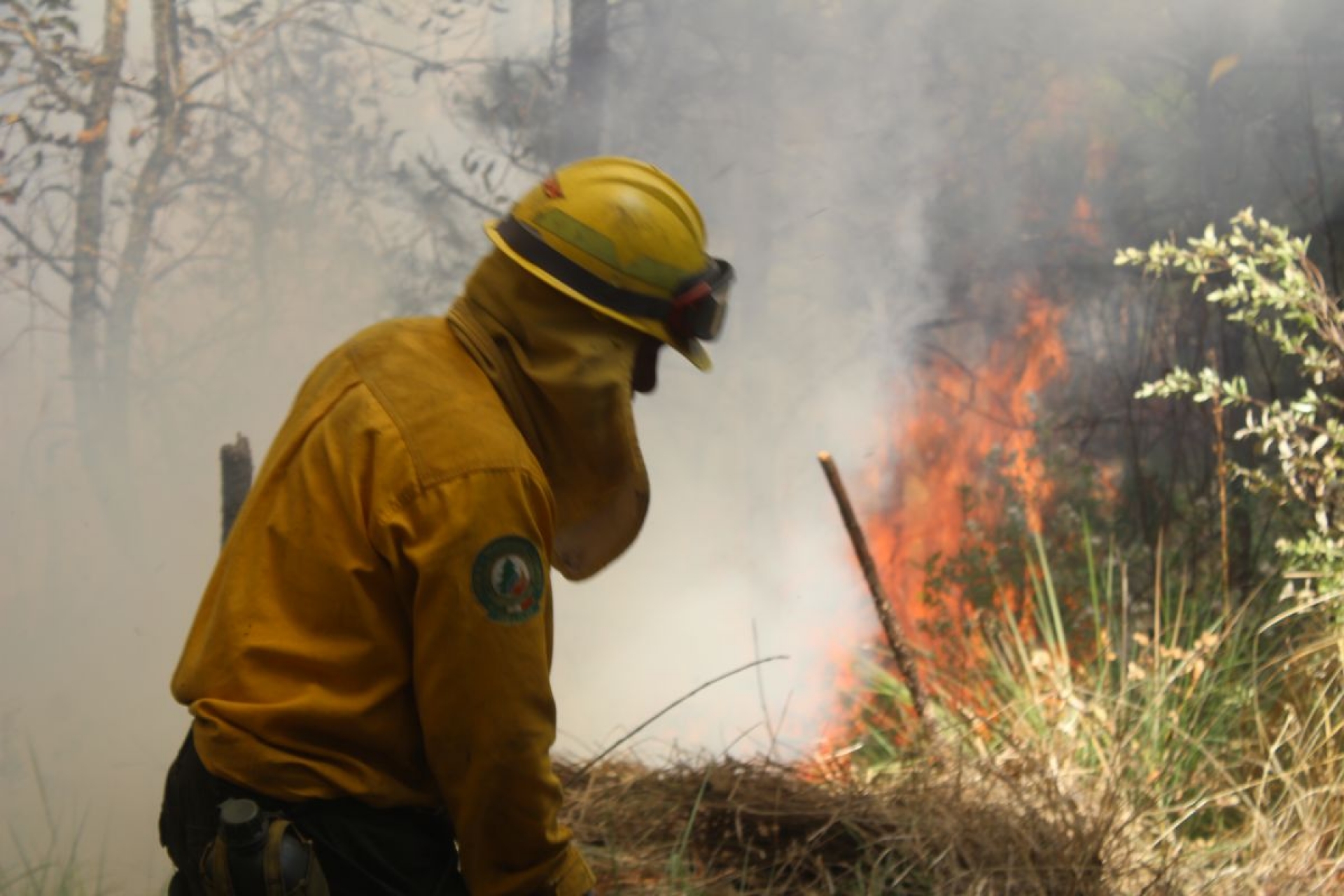 Refuerza Morelos acciones preventivas contra incendios forestales