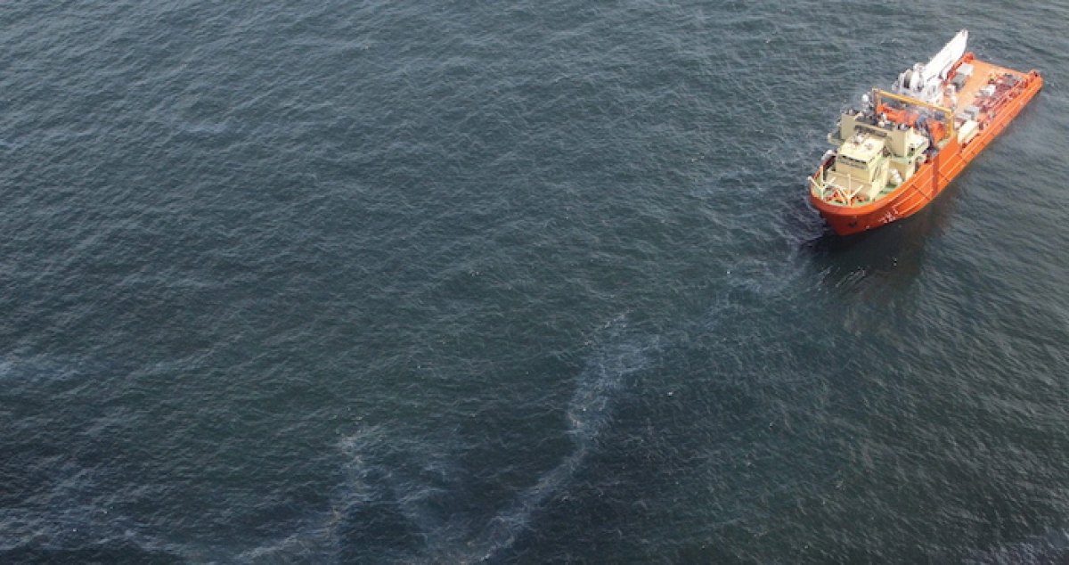 Estudio advierte de efectos duraderos del derrame petrolero en Golfo de México