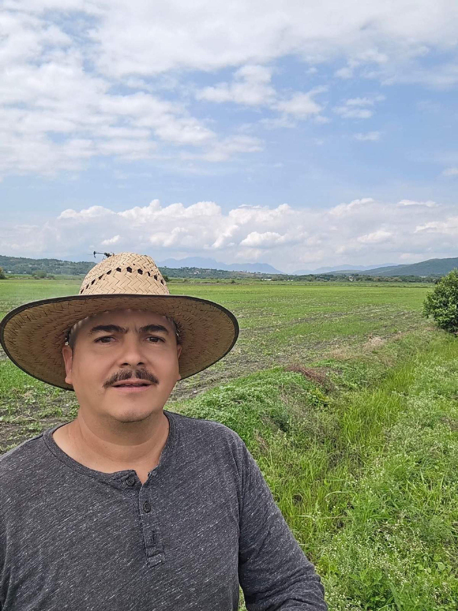 Prevén incremento de producción de arroz en el poniente
