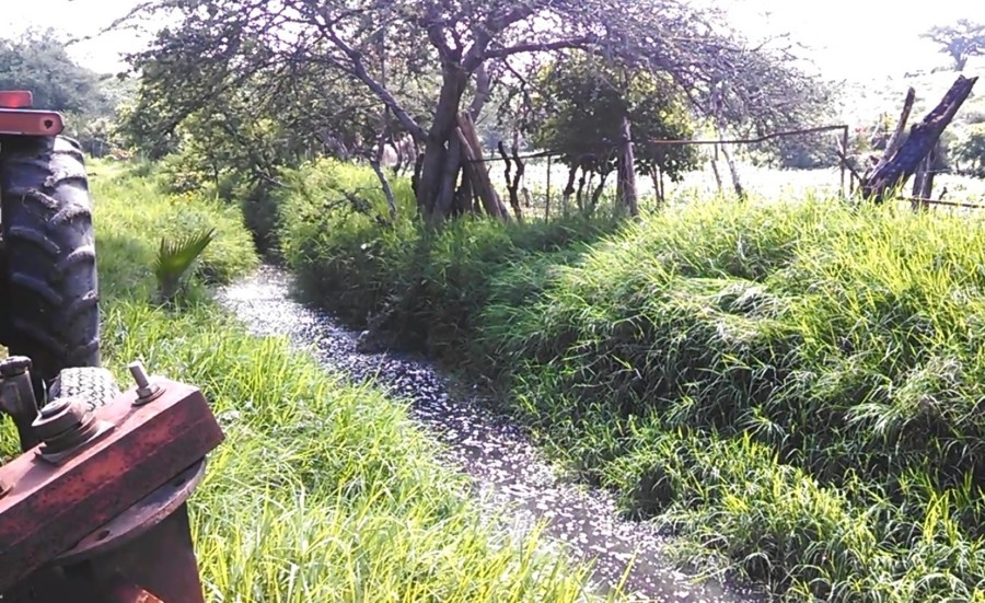 Inician trabajos de saneamiento de la barranca “Las Ánimas” de Yecapixtla