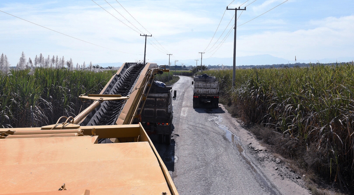 Satisfechos ejidatarios con reparación de caminos de saca