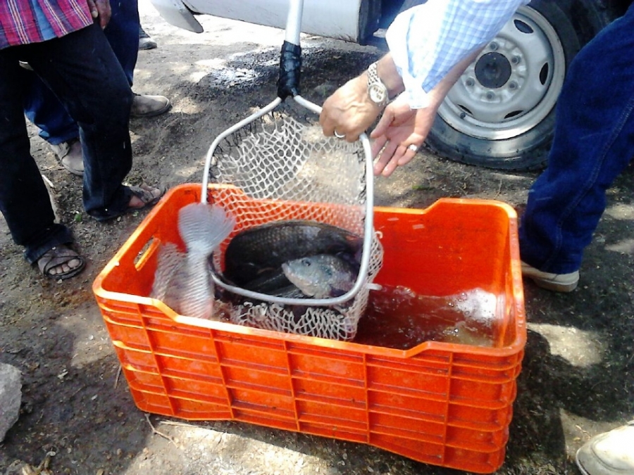 Aplicarán sanciones a pescadores irregulares de las lagunas de Coatetelco y El Rodeo