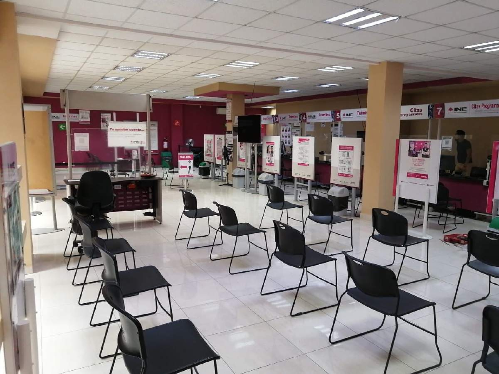 Más de diez mil jóvenes tramitan credencial para votar