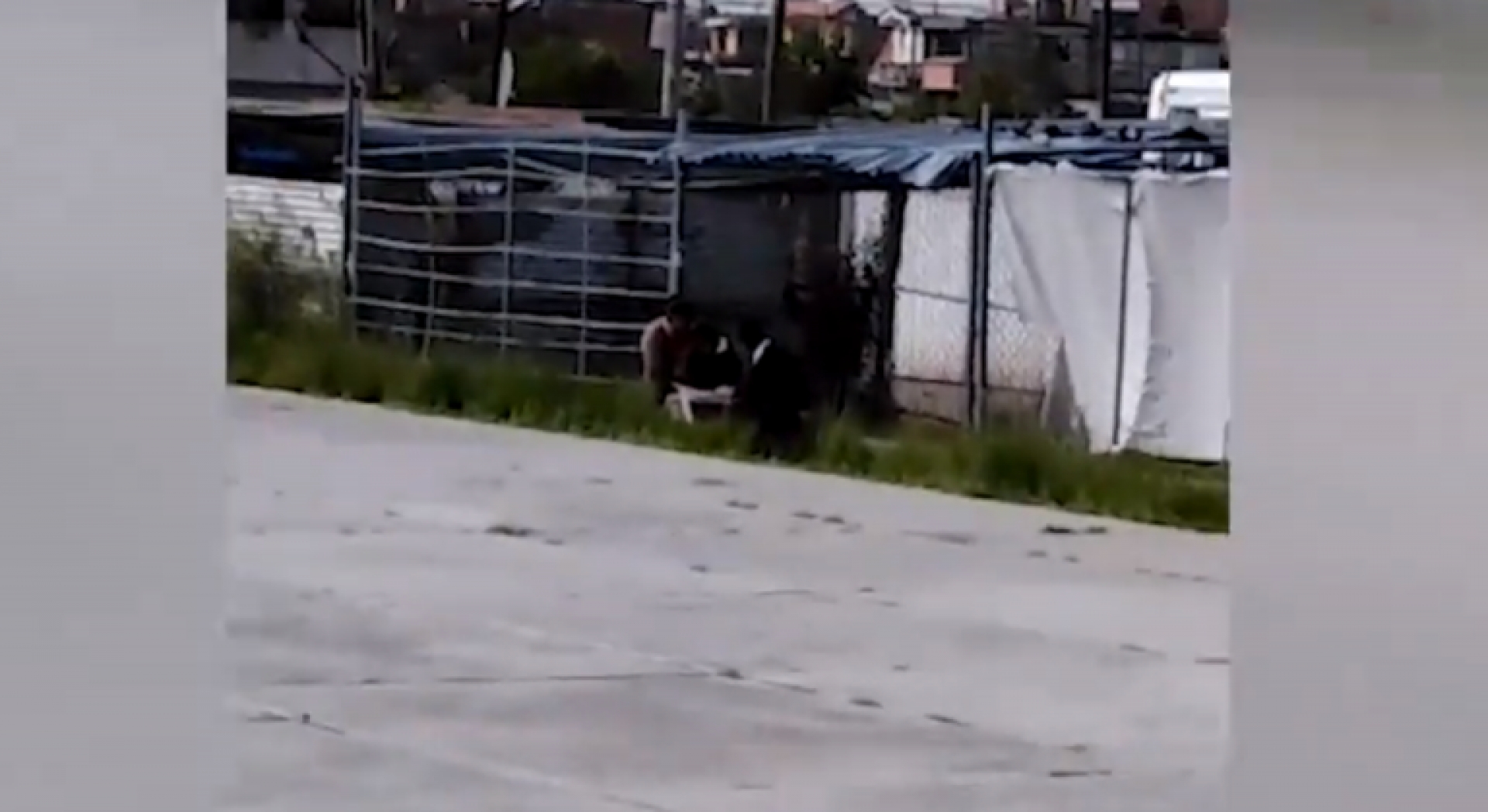 Madre lleva a sus hijos a tomar clases a cancha para tener acceso a Internet