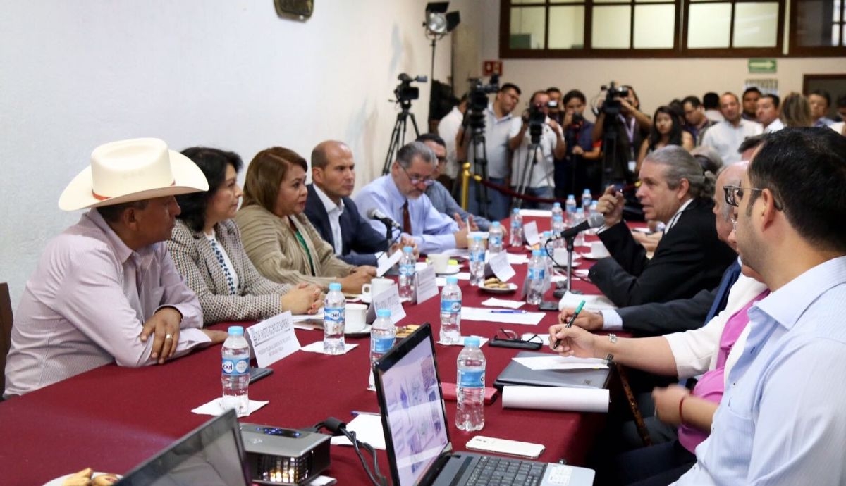 Comparece ante diputados secretario de Desarrollo Sustentable