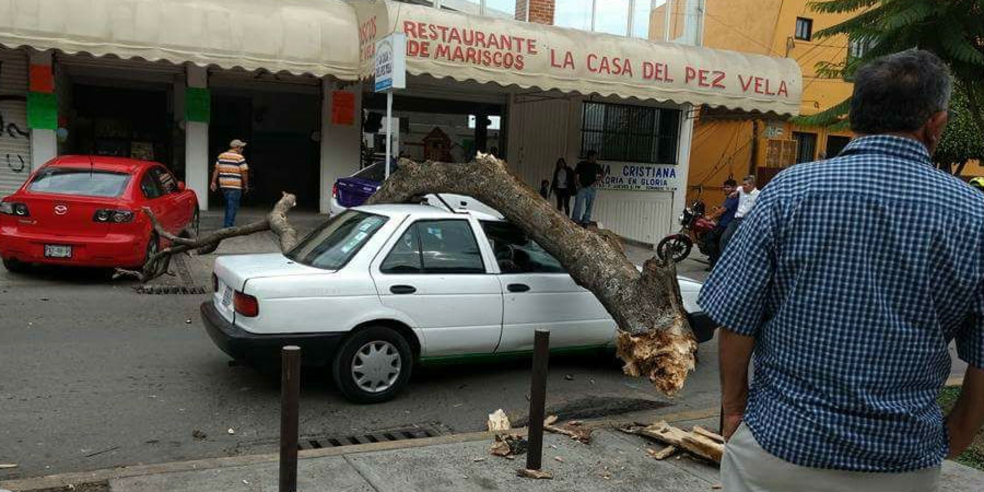 Cae tronco de árbol sobre automóvil, en la colonia Antonio Barona