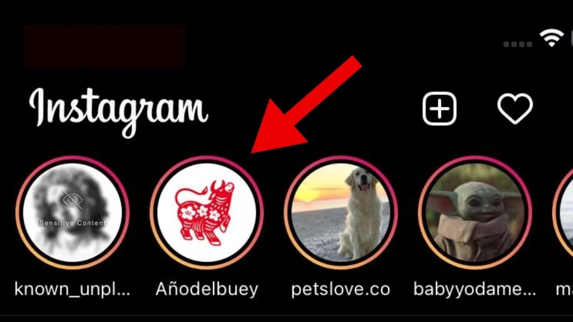¿Qué es el Año del Buey en Instagram y por qué nos está saliendo a todos?