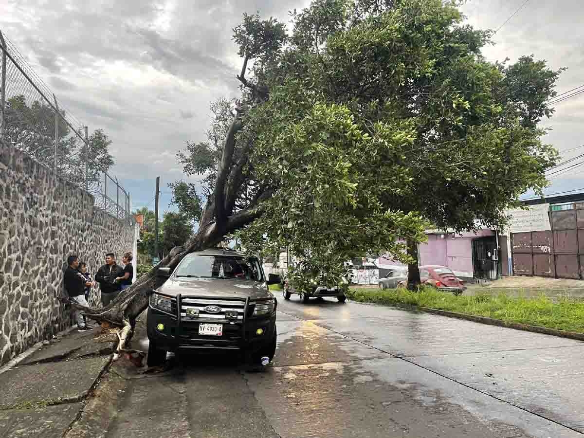 Caída de árboles deja dos lesionados y daños en cuatro vehículos