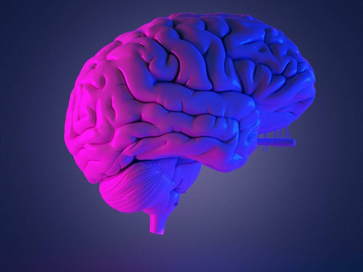 Nuevo dispositivo informático similar al cerebro con "transistores sinápticos electroquímicos” que simula el aprendizaje humano