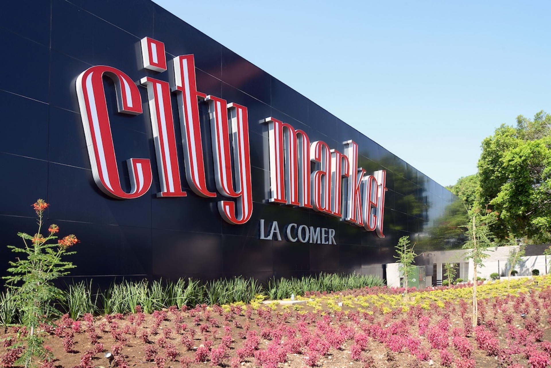 City Market Cuernavaca: Cata de Vinos Exquisita con Riedel en un Ambiente Mediterráneo