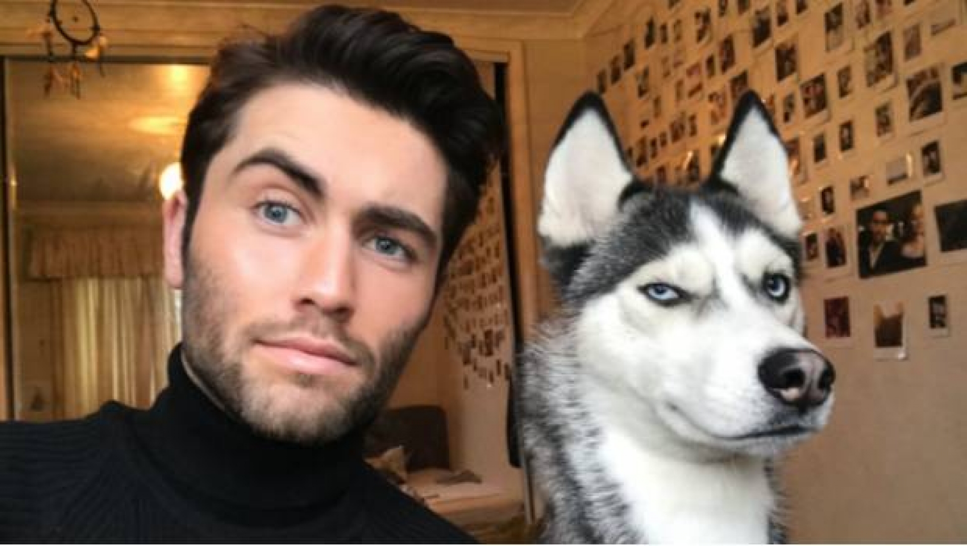 Imágenes que demuestran que todo perro se parece a su dueño