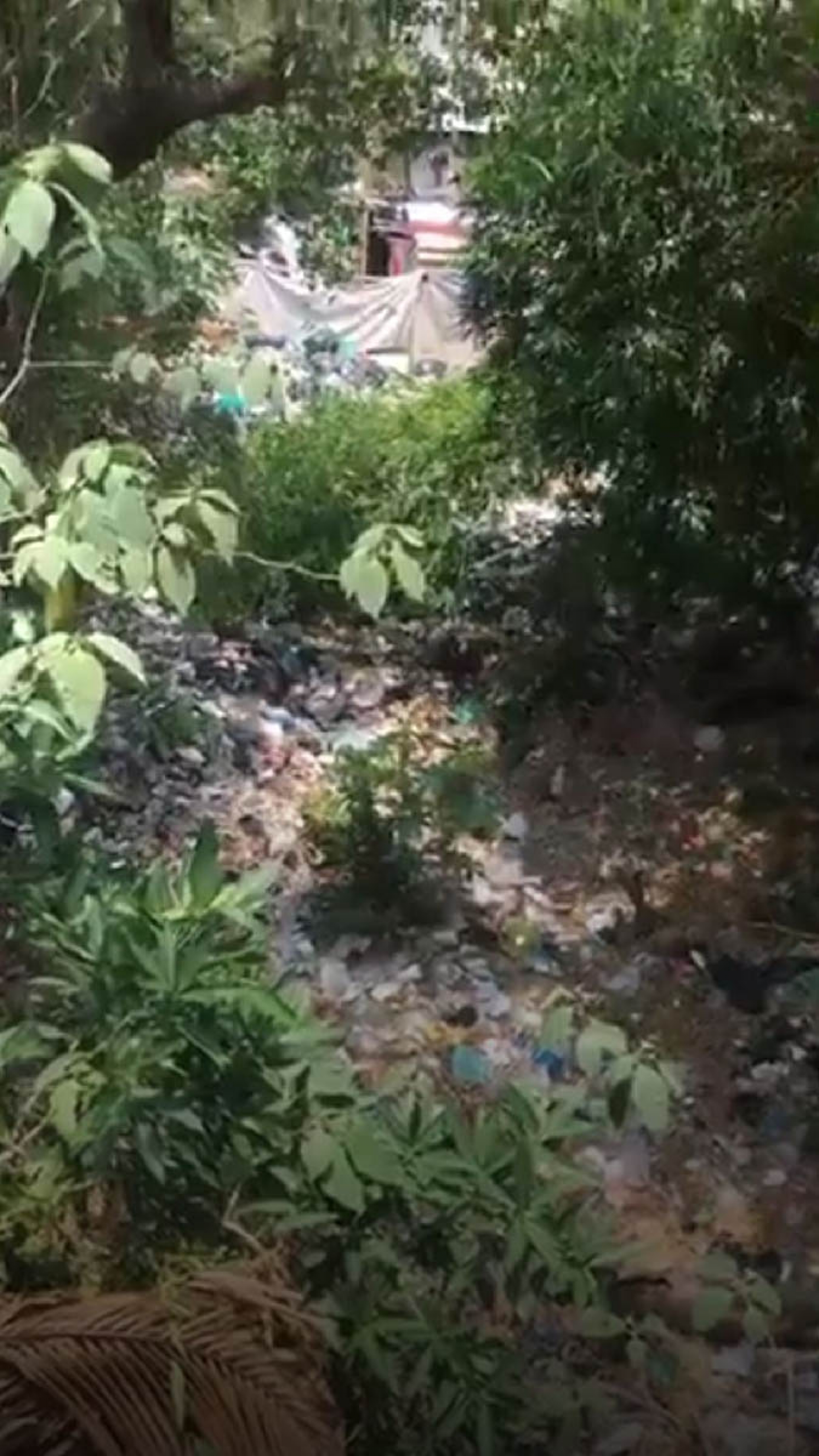 Denuncian existencia de tiradero clandestino de basura en Puente de Ixtla