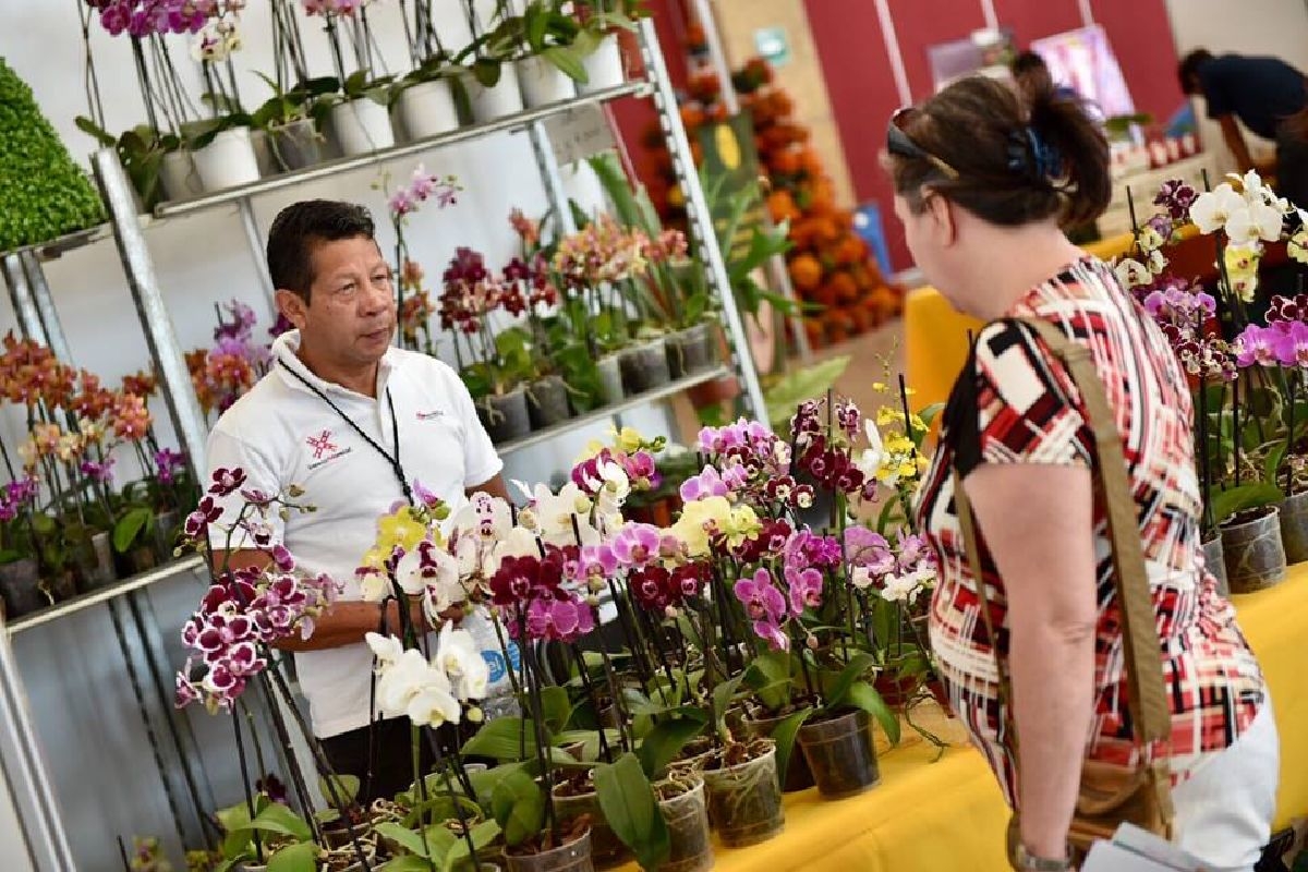 Supera expectativas en número de visitantes la Expo Paisajismo Vida Sustentable 2017