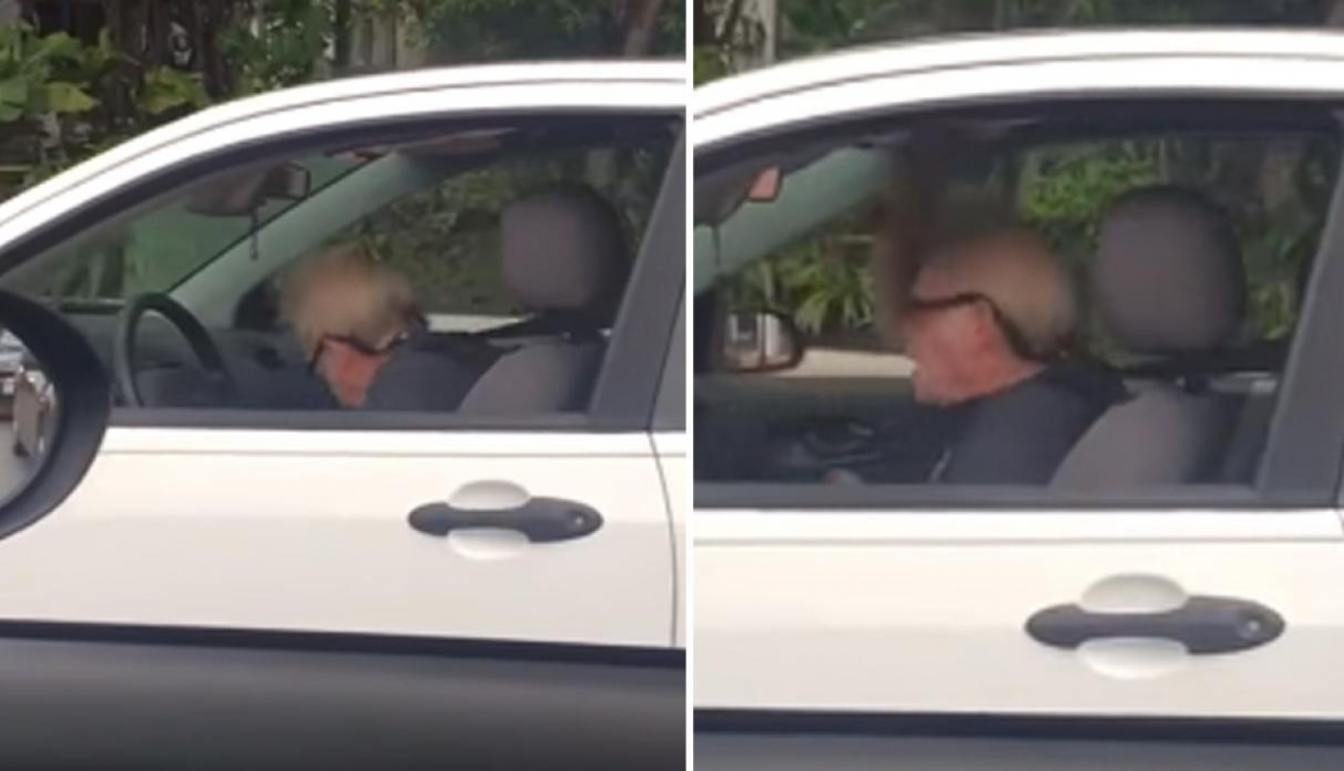 VIDEO: Anciano rockero 'enloquece' en su auto al ritmo de Metallica