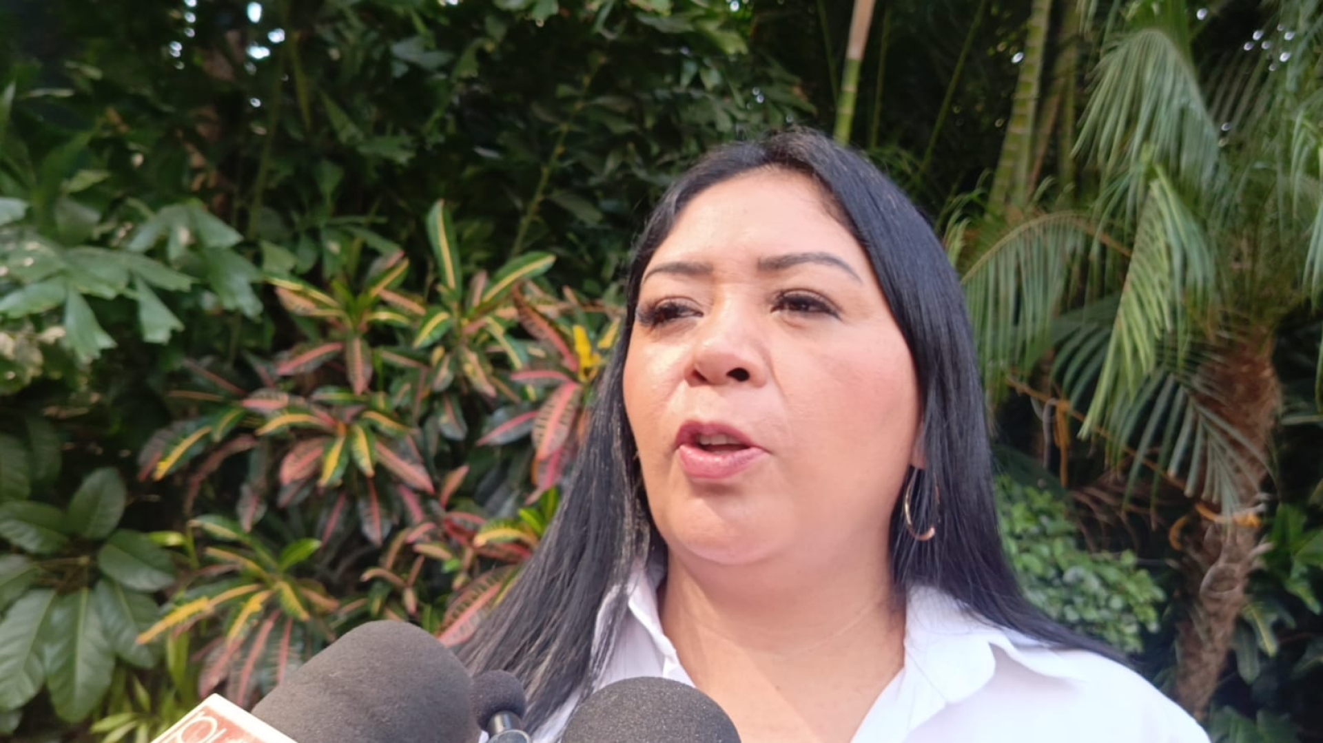 Balean casa de campaña de candidata de Morena