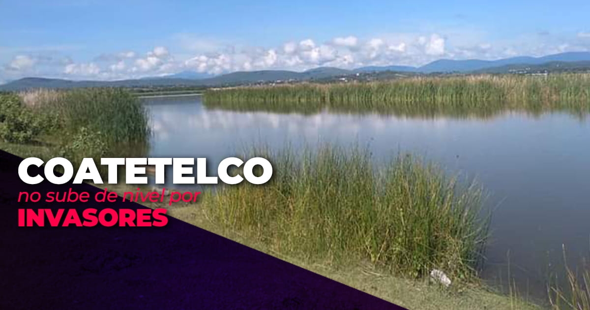 Por invasión de zona federal, la laguna de Coatetelco no sube de nivel