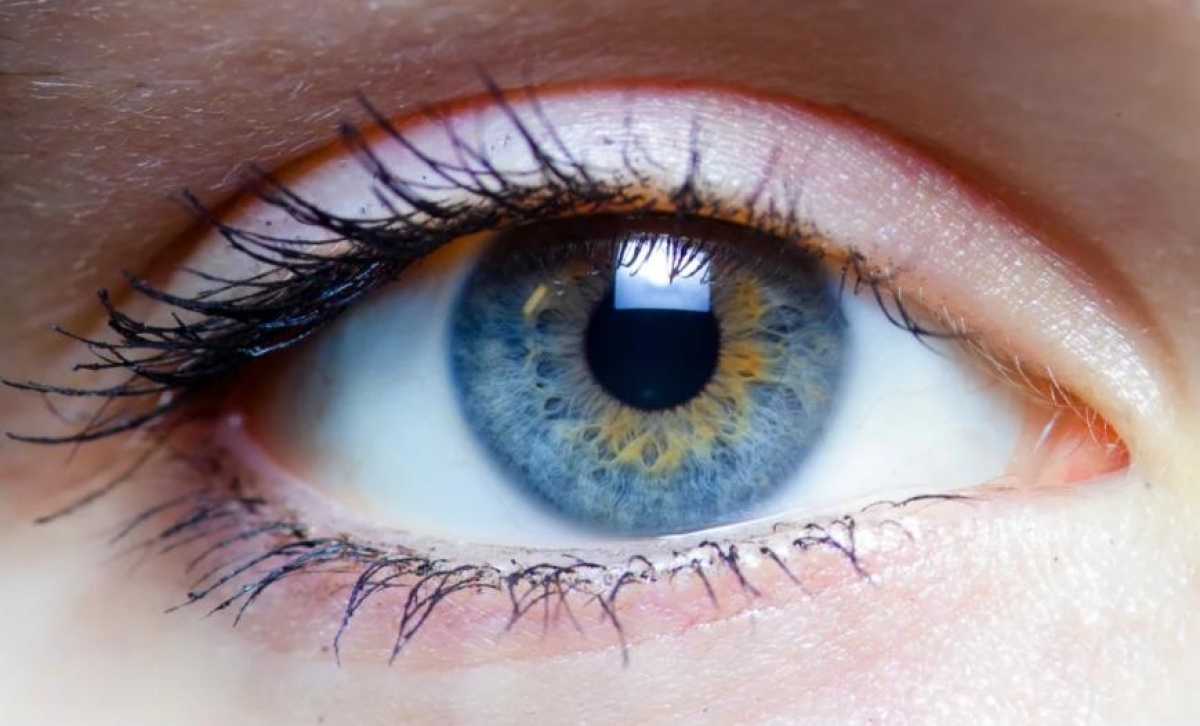 Parpadear hace que el cerebro trabaje con más potencia