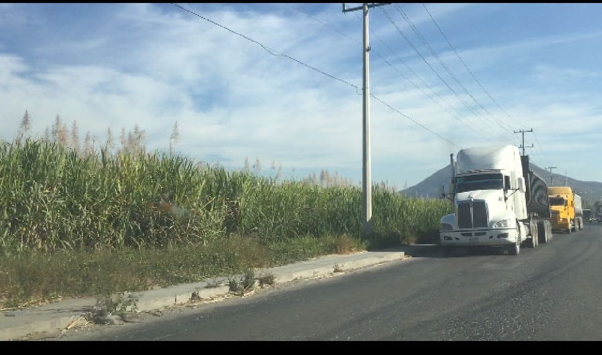 Harán efectivo descuento del 5% a productores que ingresen cañas accidentadas