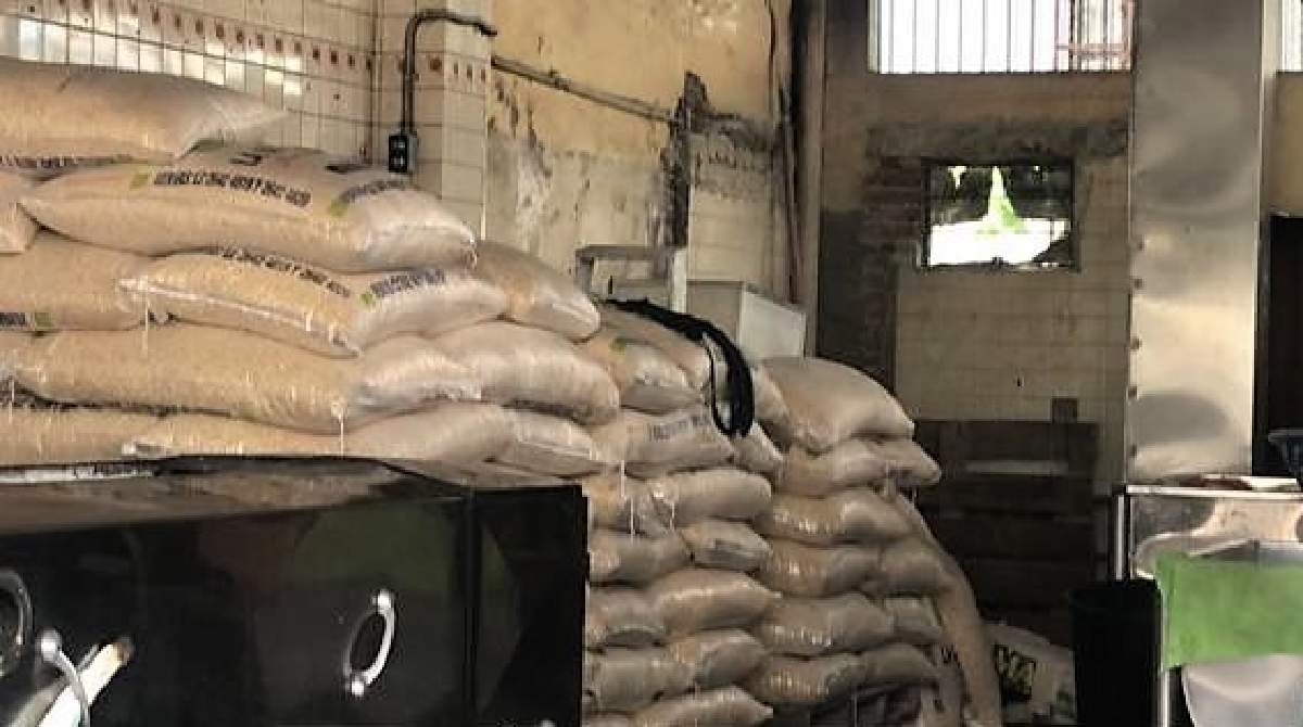 Hay incertidumbre entre productores de maíz por falta de precio de garantía