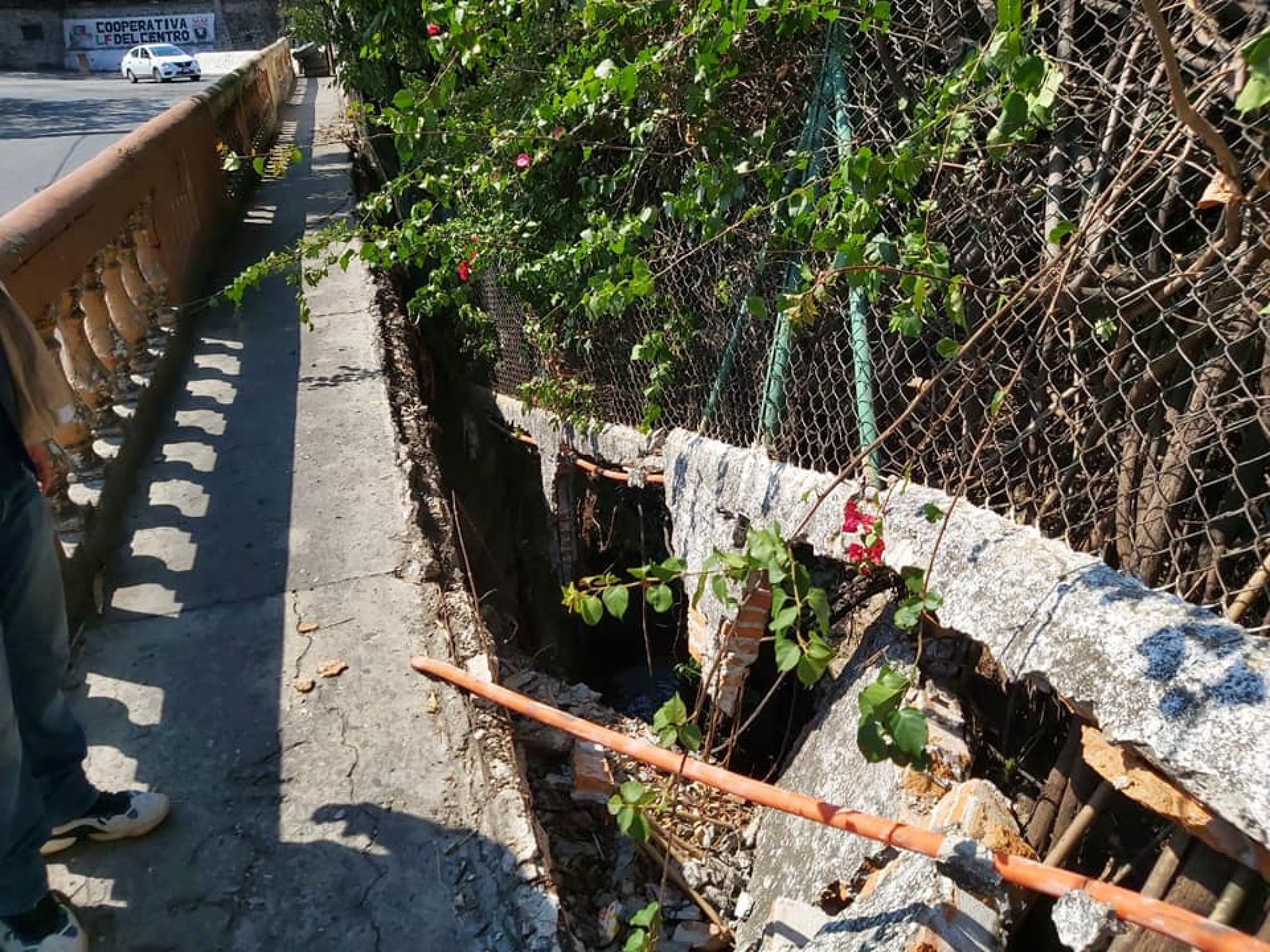 Clausuran de nuevo unidad deportiva en Flores Magón