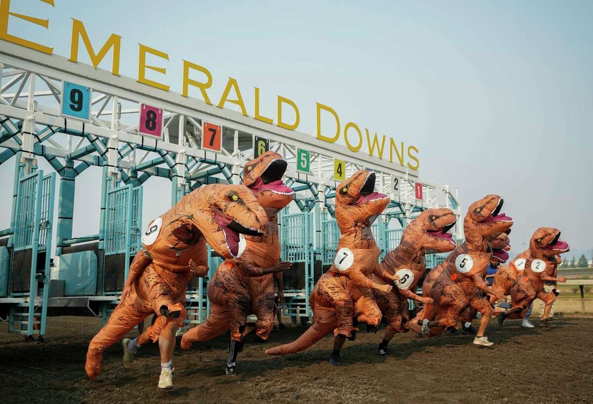 ¡Dinos corredores! Seattle vive su propio 'Jurassic Park'