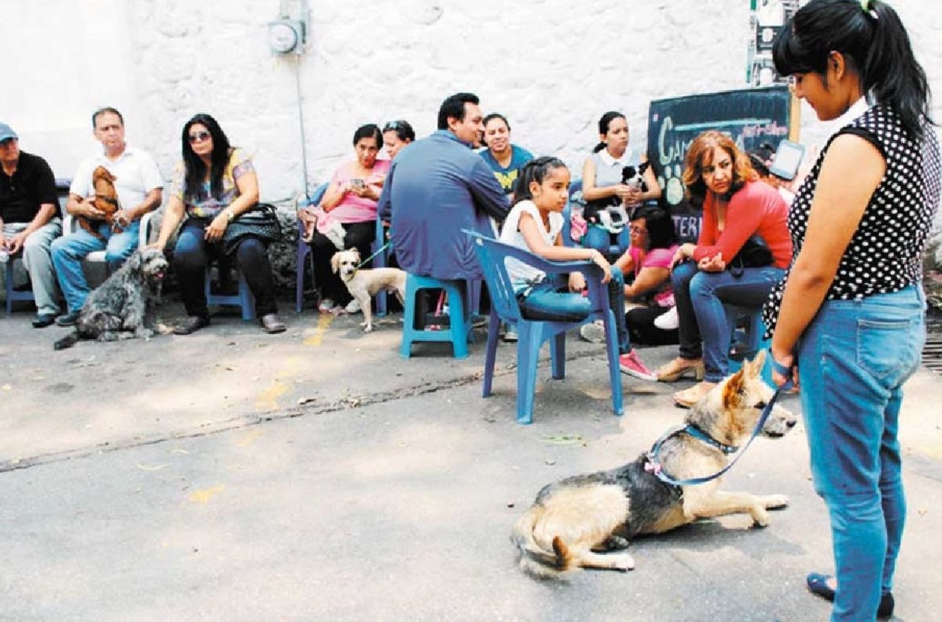 Continúa campaña de esterilización de perros y gatos en Cuautla