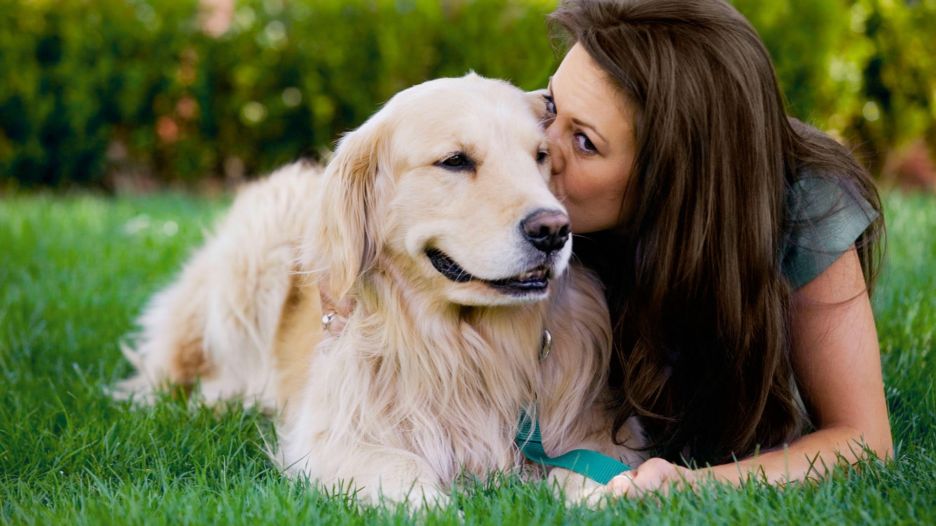 ¿Cómo separarte de tu perro en vacaciones?