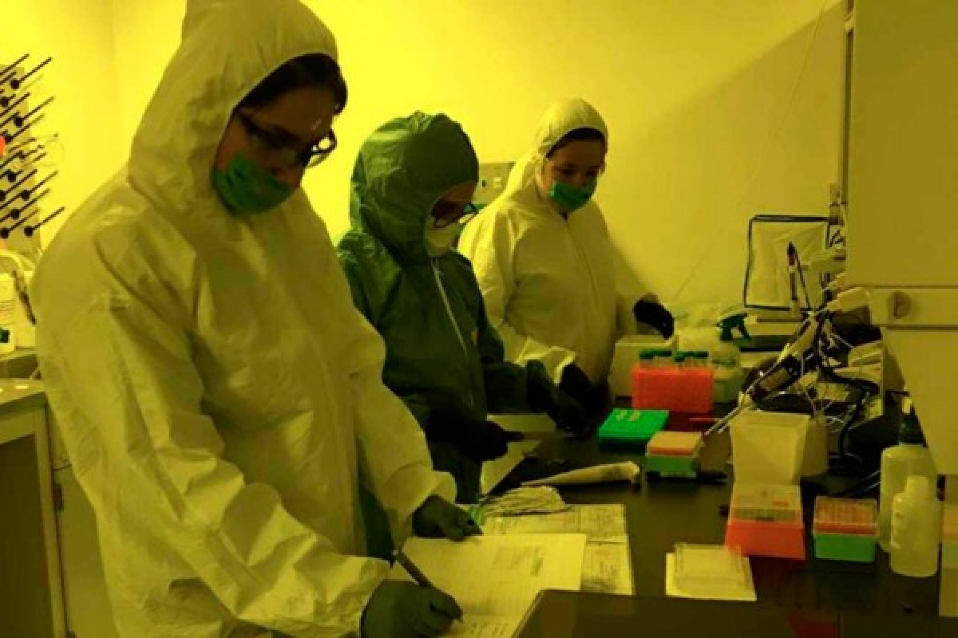 UNAM desarrolla biosensor para detección rápida de Covid-19; costaría 300 pesos hacerse la prueba