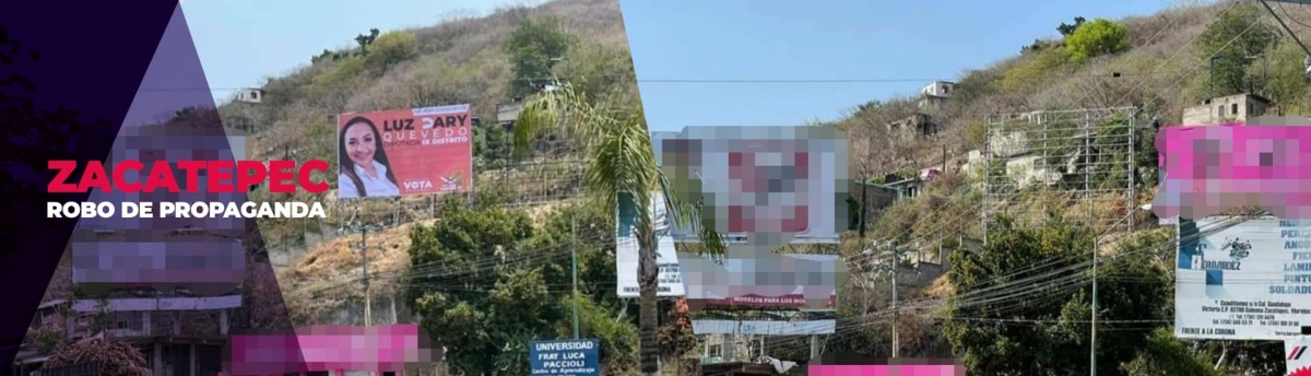 Denuncia candidata el robo de su propaganda