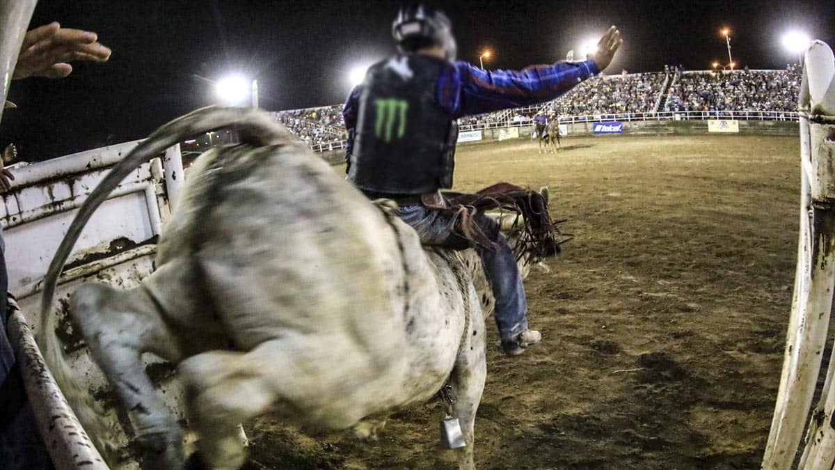 “Niño de oro” muere aplastado por un toro