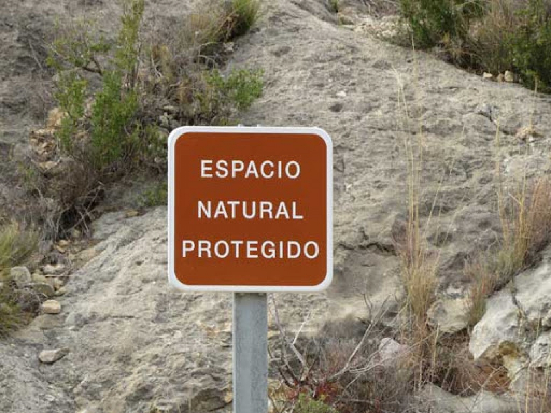 Denuncian la construcción de viviendas en parcela escolar