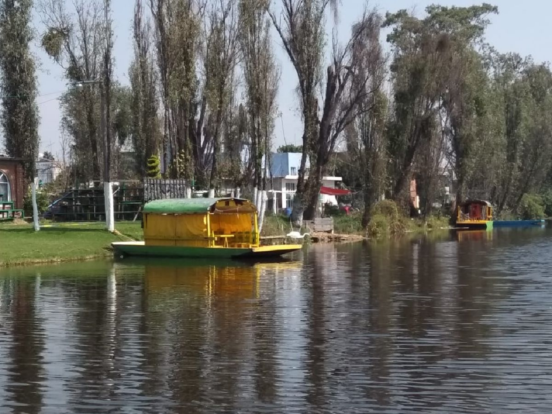 Navega por un bosque en plena CDMX