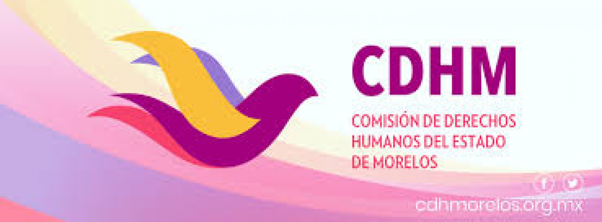 Critica CDHEM medidas de desmovilización