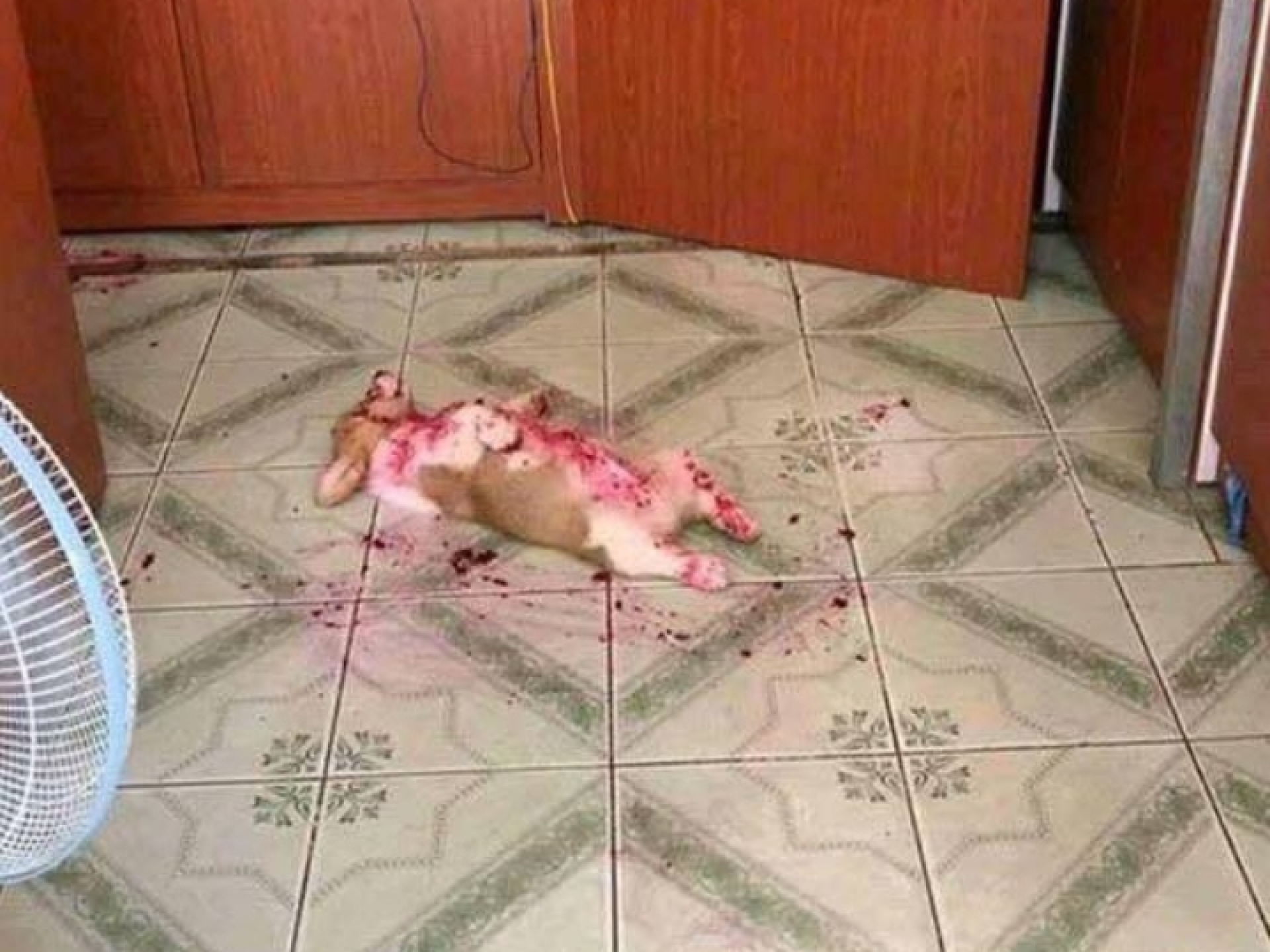 ¡El peor susto!